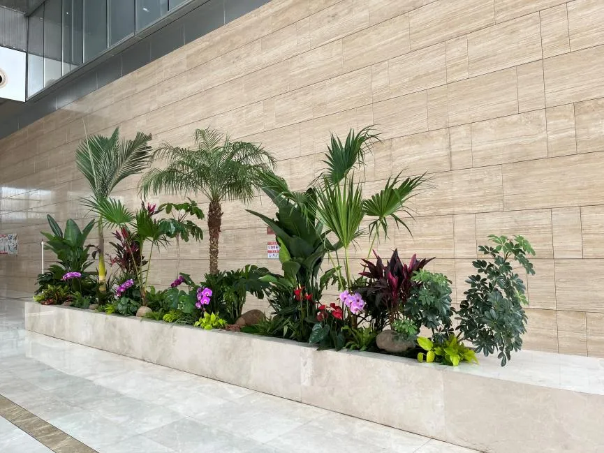 领略宁波海曙花卉出租设计，感受花卉艺术